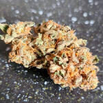 gorilla-cookies-auto-fem-fastbuds.jpg