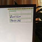 gorilla-auto-fem-Semyanich.jpg