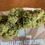 vanilla-latte-auto-fem-humboldt-seed-company.jpg