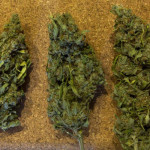 blue-sunset-sherbert-fem-barneys-farm.jpg