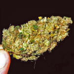 keepers-og-autoflower-fem-seedkeepers.jpg