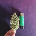 lemon-cherry-gelato-auto-r3-fem-ethos-genetics.jpg