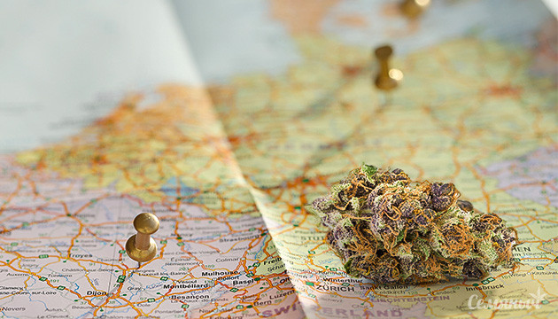 Страны с лучшей марихуаной В какой стране лучшая марихуана